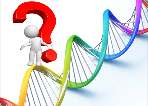 Dịch vụ xét nghiệm ADN tại Hà Nội - Hết bao nhiêu tiền, ở đâu tốt?